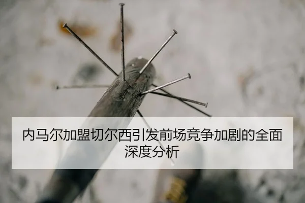 nei-ma-er-jia-meng-qie-er-xi-yin-fa-qian-chang-jing-zheng-jia-ju-de-quan-mian-shen-du-fen-xi-2-814.jpg